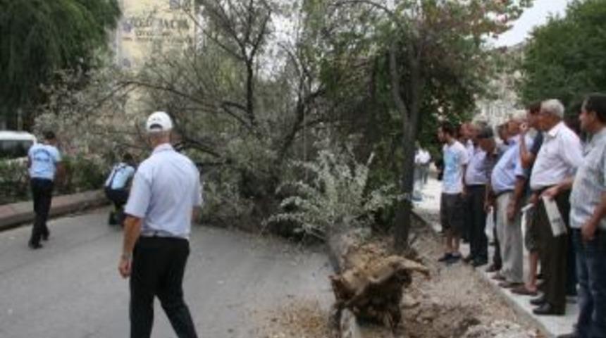 Edirne Bunaltıcı Sıcakların Ardından Serin Havanın Etkisine Girdi