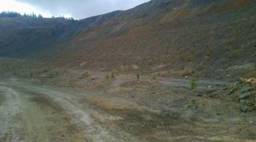 K&uuml;re&rsquo;de 16 Bin Ağa&ccedil; Toprakla Buluştu