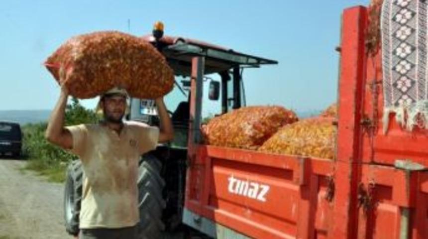 G&ouml;nenli &Ccedil;ift&ccedil;ilerin Yeni G&ouml;zdesi Pepperoncini Oldu