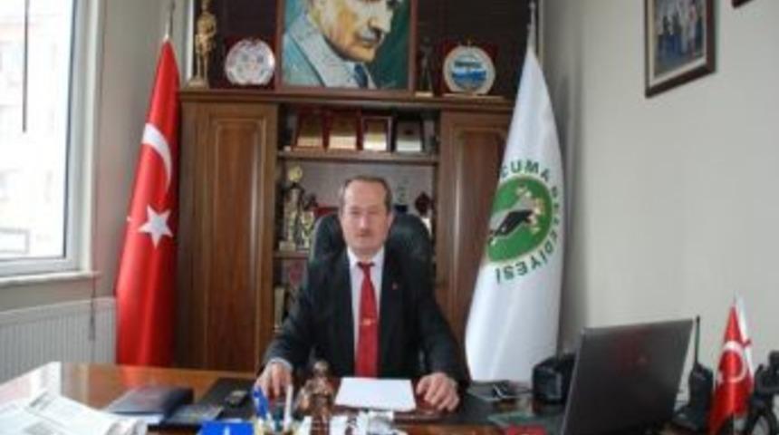 Cadde Ve Sokaklarda Başıboş Gezen B&uuml;y&uuml;kbaş Hayvanların Sahiplerine Para Cezası Uygulandı