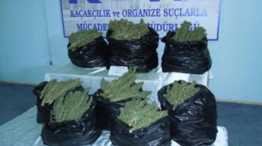 Şanlıurfa&rsquo;da Ka&ccedil;ak&ccedil;ılık Olayları