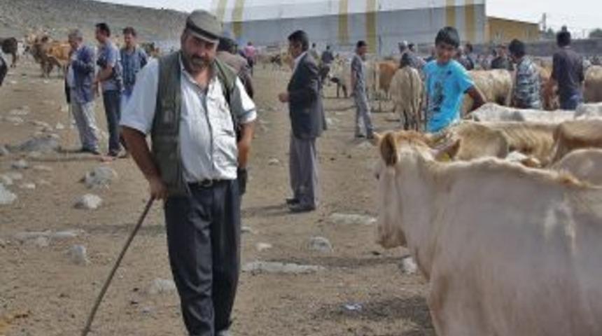 Doğu&rsquo;da Yem Fiyatları U&ccedil;tu, Hayvanlar Meydanlarda Kaldı