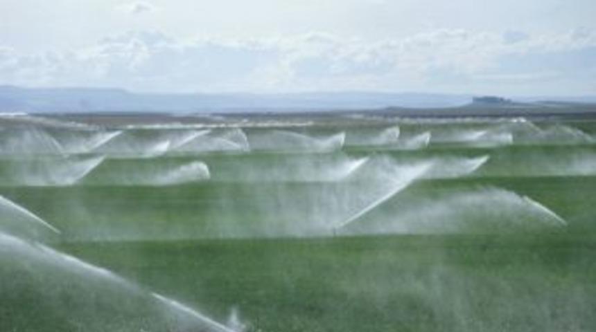 Gıda Tarım Ve Hayvancılık İl M&uuml;d&uuml;rl&uuml;ğ&uuml;'nden &Ccedil;ift&ccedil;ilere Son &Ccedil;ağrı