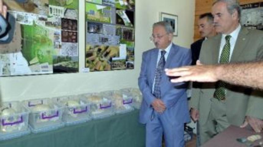 "8 Bin Yıl &Ouml;nce İnsanlar Diş Hastalıklarından &Ouml;l&uuml;yordu"