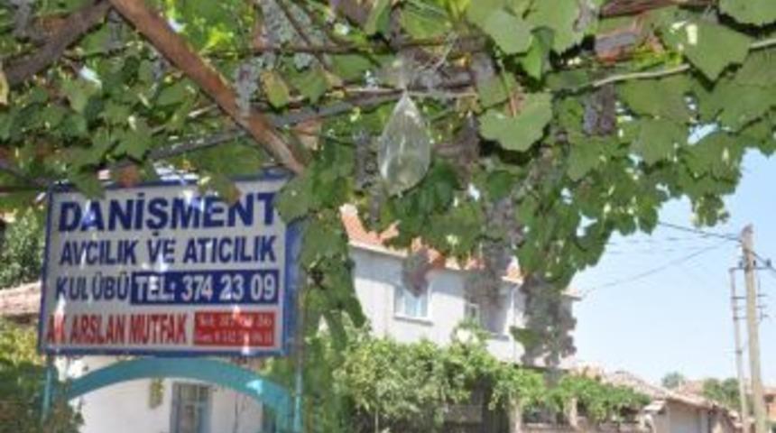 Sivrisineklere Karşı "susavar"