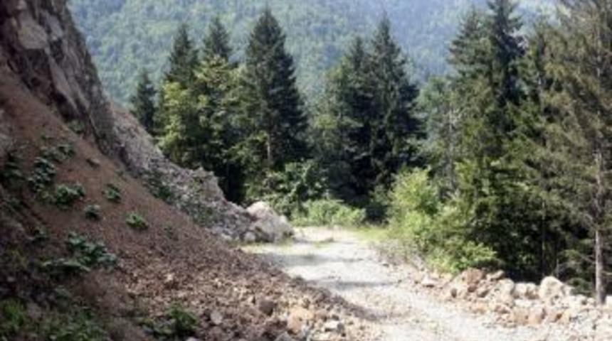 &Ccedil;akırg&ouml;l Turizm Merkezi Yolu İ&ccedil;in Binlerce Ağa&ccedil; Kesildiği İddiaları