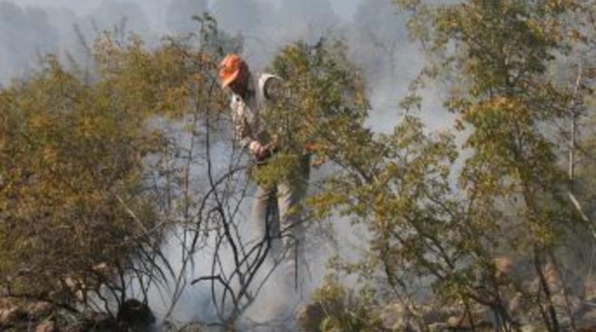 Beypazarı&rsquo;nda Orman Yangını &Ccedil;oban Ateşinden &Ccedil;ıkmış
