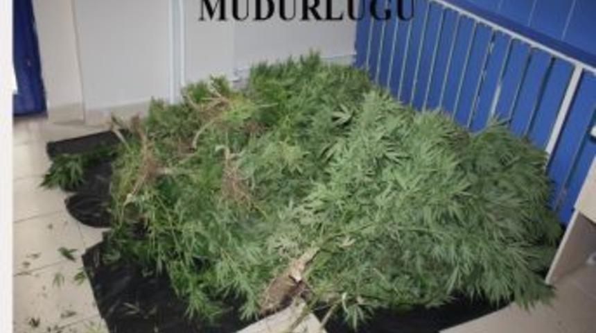 Bafra&rsquo;da Uyuşturucu Operasyonu