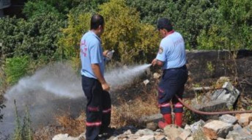Alanya'da &Ccedil;alılık Yangını