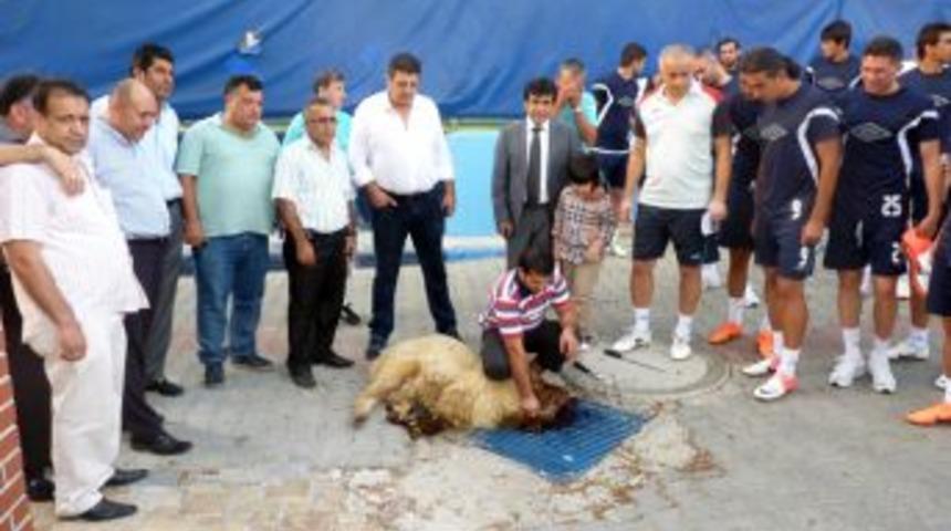 Demirspor Rize ma&ccedil;ına hazırlanıyor