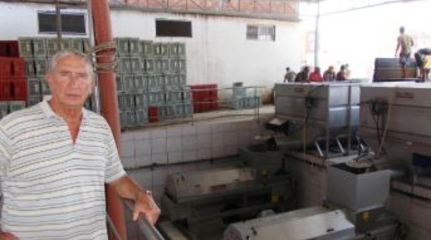 Şark&ouml;y&rsquo;de &Uuml;z&uuml;m Alım Kampanyası D&ouml;nemi Başladı