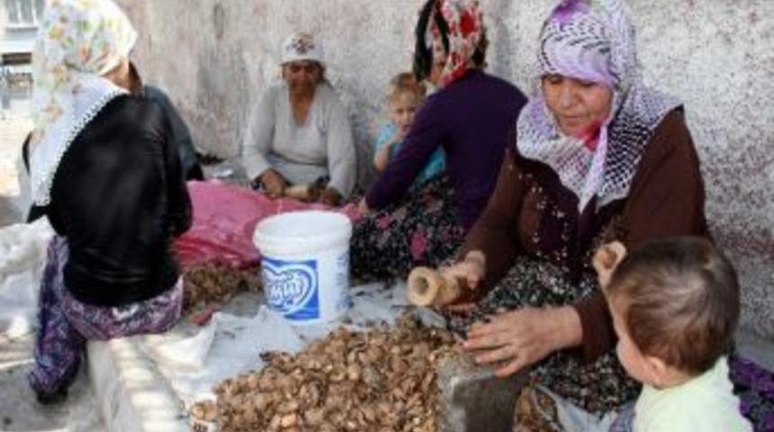 Bir Çuval Fıstık Bir Ekmek Parasına