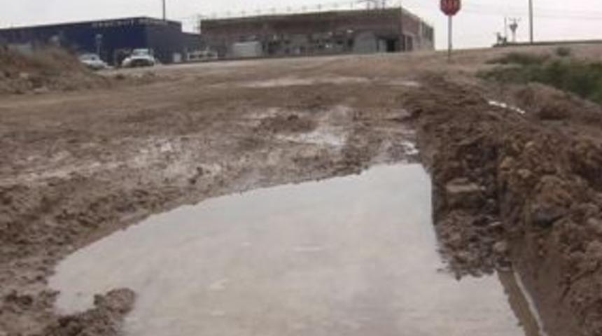 Skandal gibi yol hikayesi