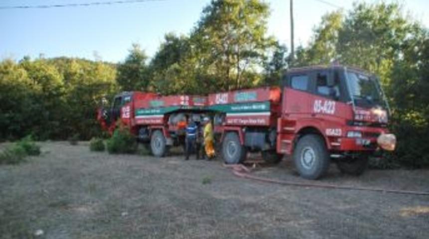 Vezirk&ouml;pr&uuml;&rsquo;de Orman Yangını