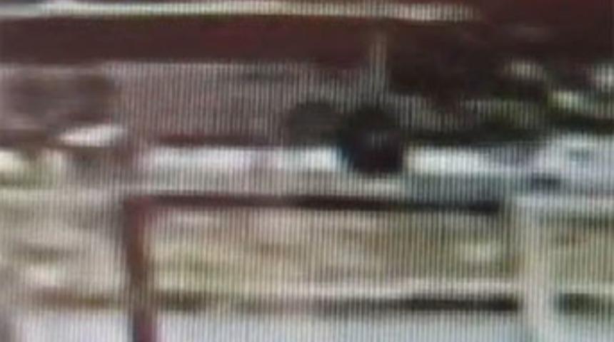 Otob&uuml;s polisi b&ouml;yle ezdi