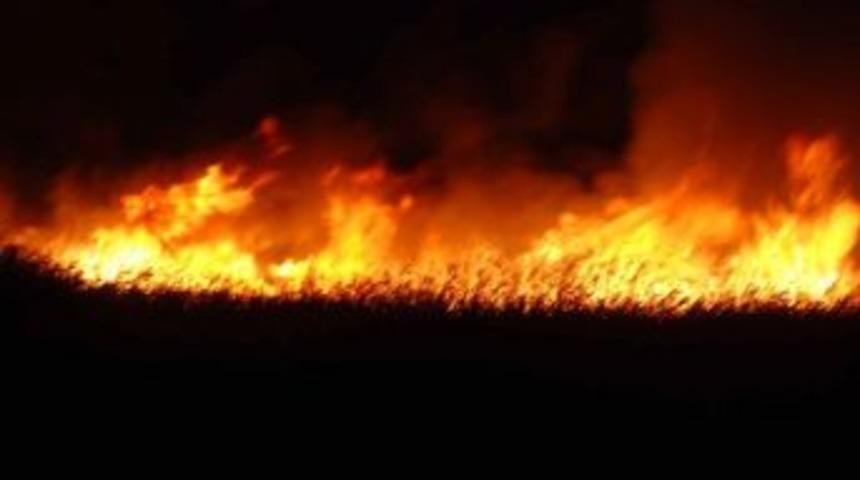 G&ouml;ksu Deltası'nda Yangın