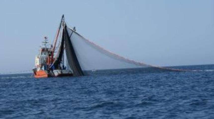 Az Balık T&uuml;ketiyoruz