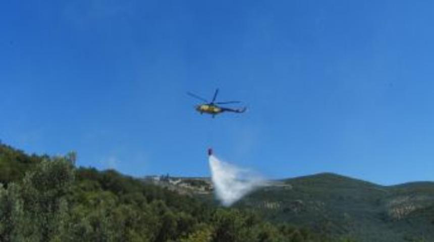 Gemlik'te Zeytinlik Yangınına Helikopter M&uuml;dahale Etti
