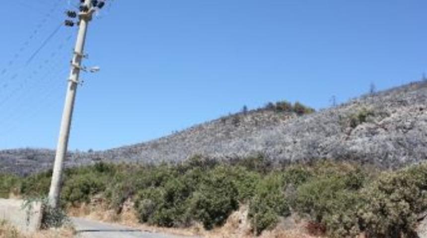 Antalya Gazipaşa&rsquo;da 15 D&ouml;n&uuml;m Alan K&uuml;l Oldu