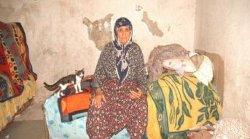 Gazi Annesinin Yaşam M&uuml;cadelesi