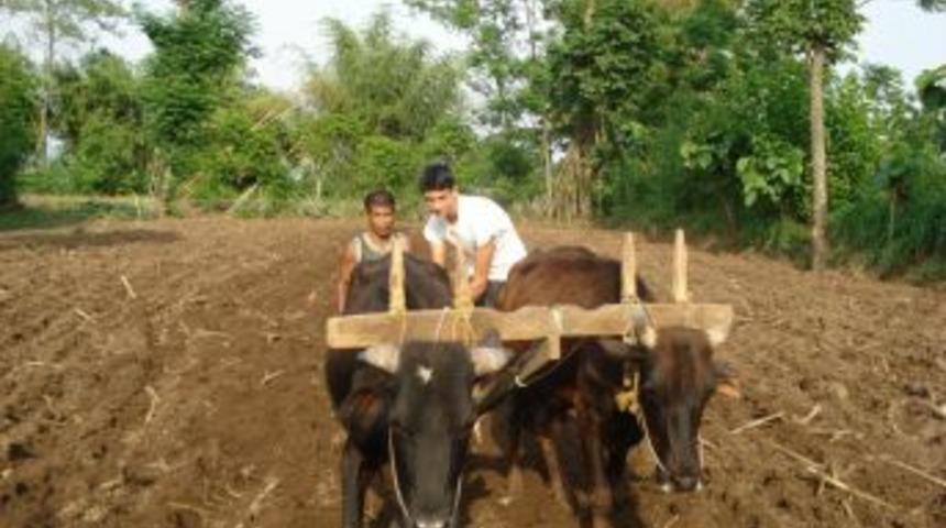 "Geleneksel Y&ouml;ntemle &Uuml;retilen &Uuml;r&uuml;n Daha Doğal"