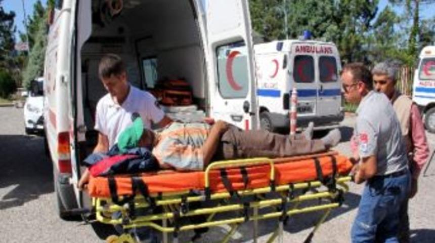 Bindiği Dalı Kesti