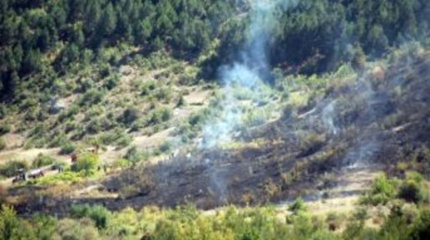 Akşehir&rsquo;de Orman Yangını