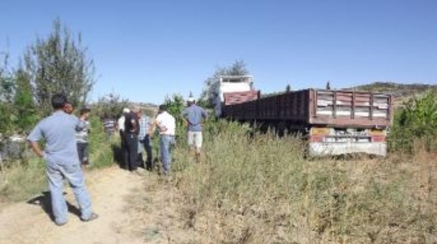 Tır Domates Tarlasına Daldı