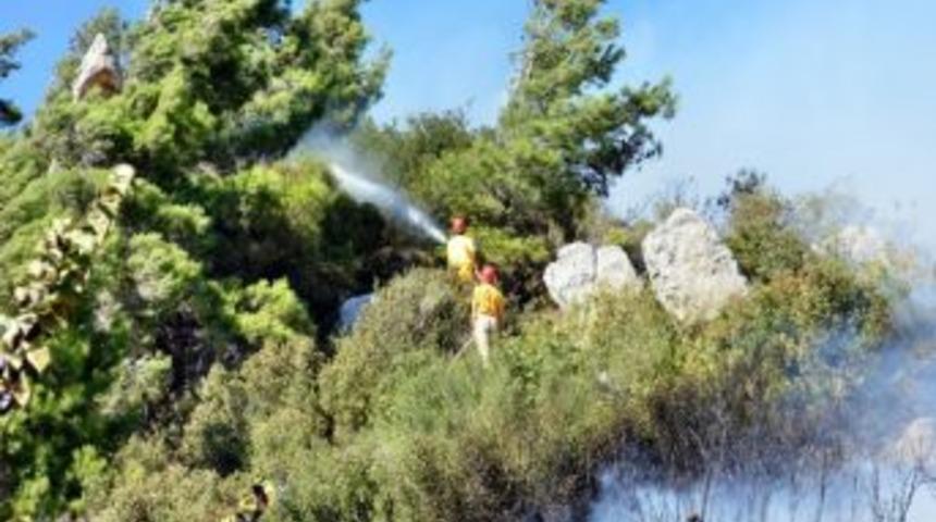 S&ouml;ke&rsquo;de Yama&ccedil; K&ouml;y&uuml; Yakınlarında Ş&uuml;pheli Yangınlar