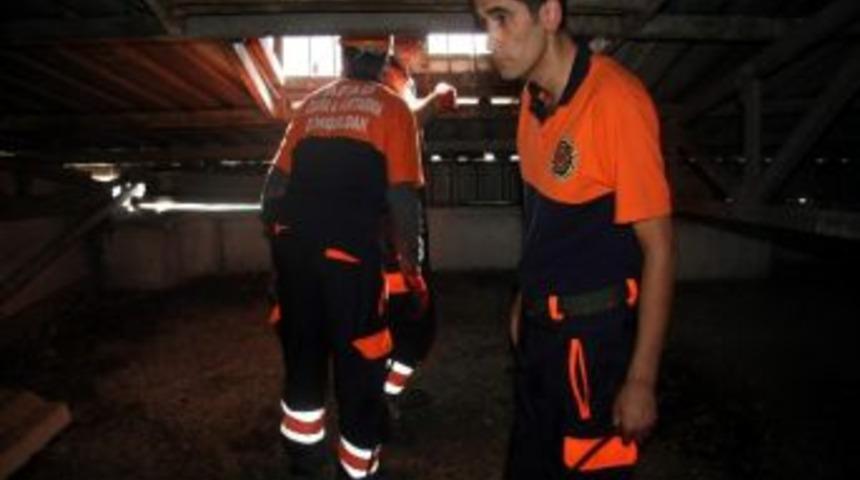 &Ccedil;atıda Kedi Operasyonu