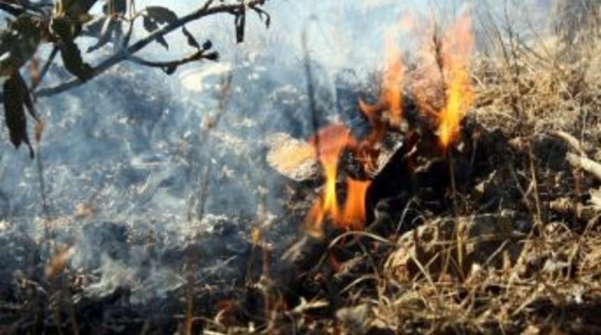 Banaz&rsquo;daki Orman Yangın S&ouml;nd&uuml;r&uuml;ld&uuml;