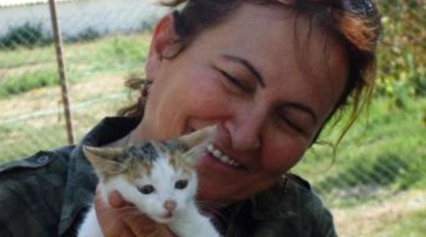 Ramazan&rsquo;da Sokak Hayvanlarını Unutmayın