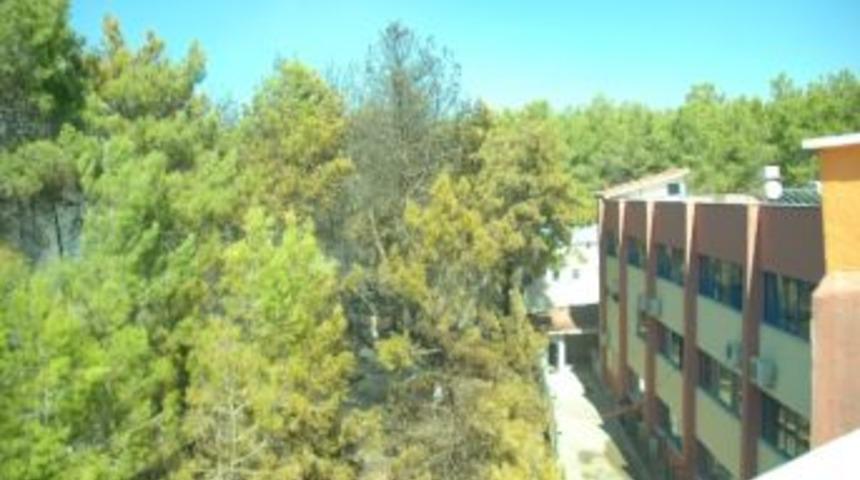 Manavgat&rsquo;ta Orman Yangını