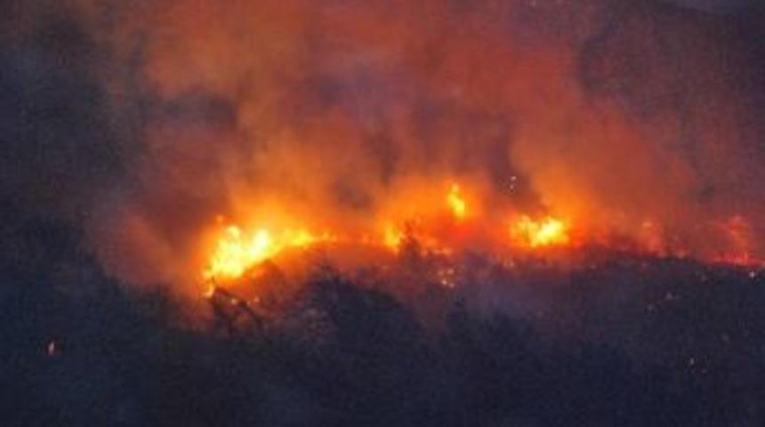 Nazilli&rsquo;de Orman Yangını