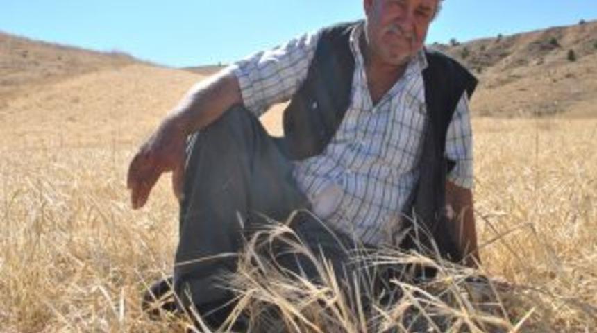 Kırıkkale'deki Kuraklık &Ccedil;ift&ccedil;ileri Zor Durumda Bıraktı