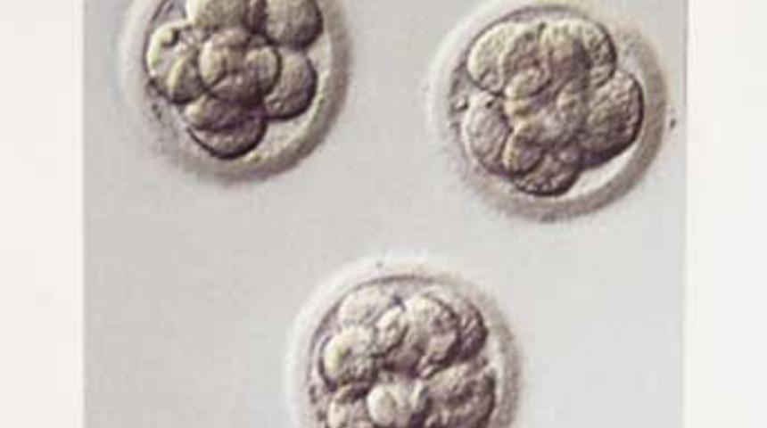 Genetik olarak tasarım bebekler