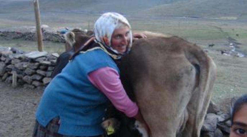 Yayladan Inmeye Hazırlanan K&ouml;yl&uuml;ler Kışlıkları Hazırladı