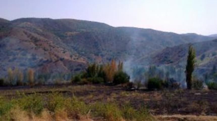 Divriği&rsquo;de Orman Yangını