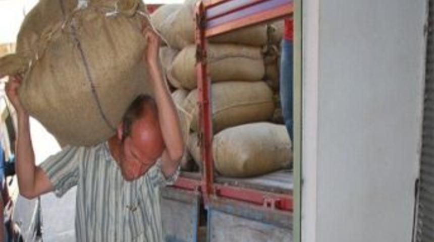 Fındık Pazara İndi