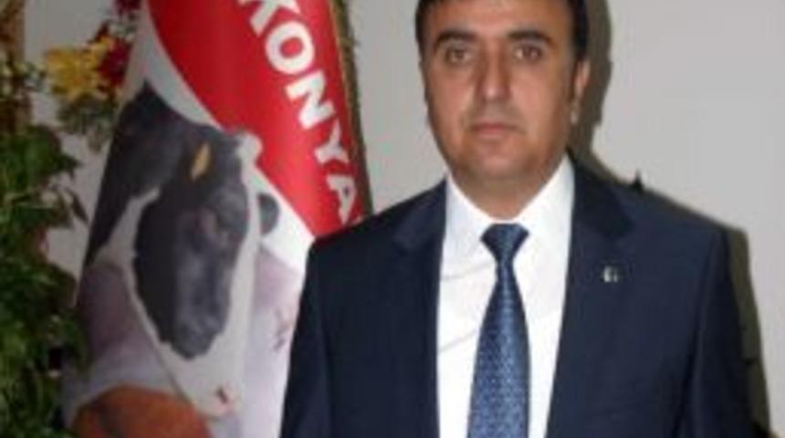 Kaba Yem Sıkıntısı Hayvancılığı Zorluyor