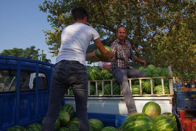 Ödemişli karpuz üreticisi sıkıntılı