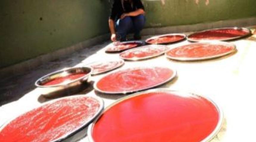 Evlerde Domates Sal&ccedil;ası Yapımı Başladı