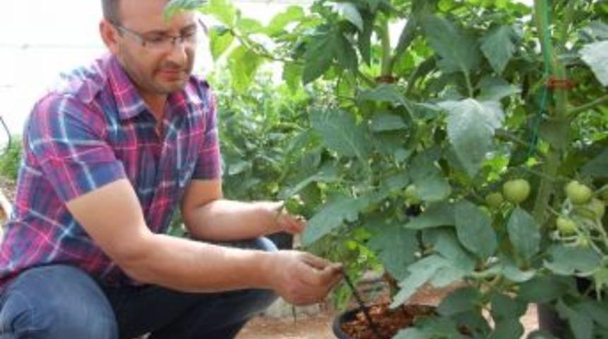 Simav&rsquo;da Topraksız Seracılık Yaygınlaşıyor