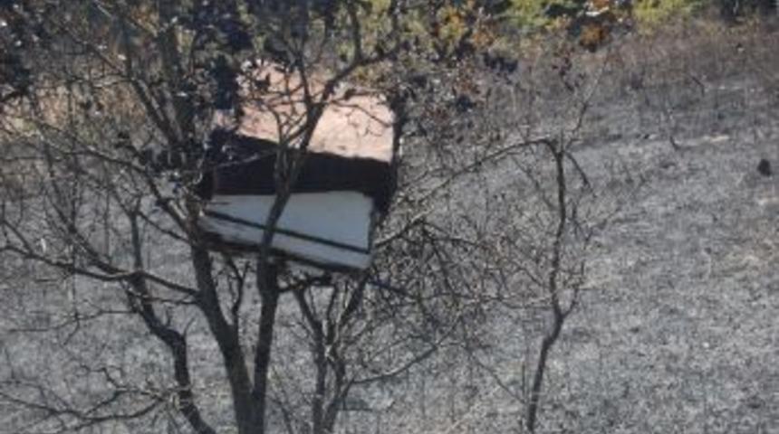 25 D&ouml;n&uuml;m Arazi İle Arı Kovanları K&uuml;l Oldu