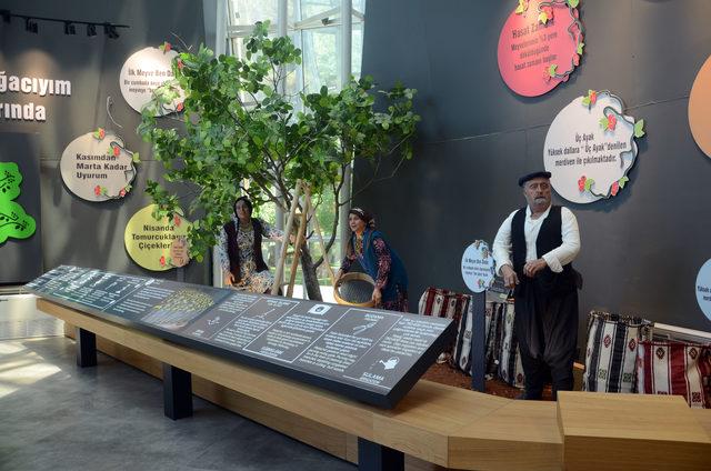Gaziantep'te, 'Antep Fıstığı Müzesi' açılacak