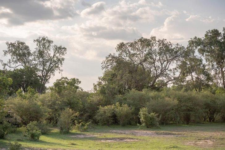 Dünyanın en zor dikkat testi  G1