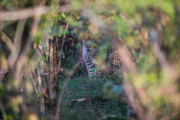 Dünyanın en zor dikkat testi  G3