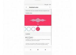 Google'ın sanal asistan sesine renk seçenekleri geliyor