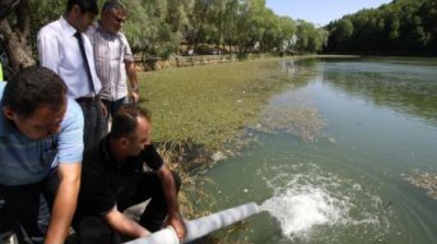 Karag&ouml;l&rsquo;e 25 Bin Balık Yavrusu Salındı