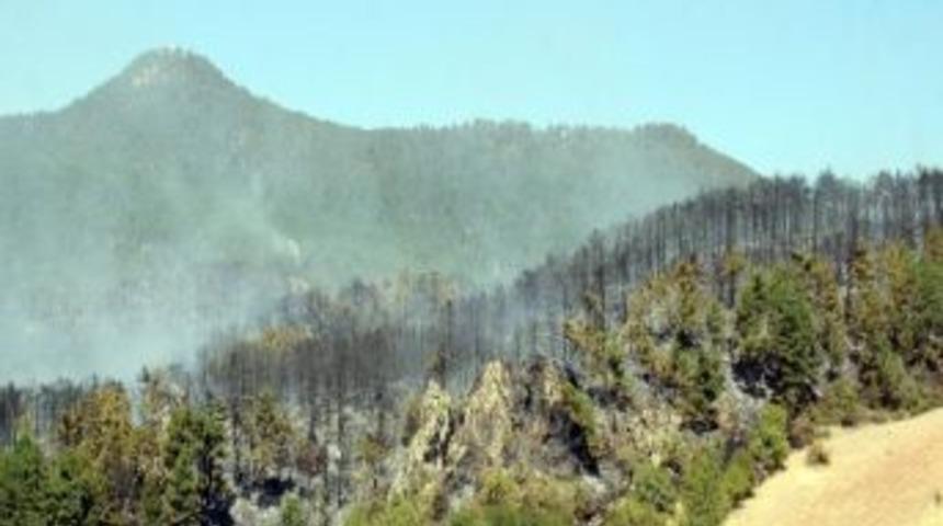 Uşak&rsquo;taki Orman Yangını Kısmen Kontrol Altına Alındı